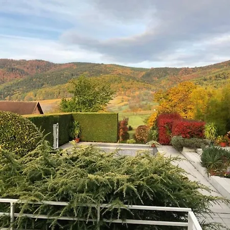 Logement De Charme Au Coeur De La Nature Osenbach Exterior foto