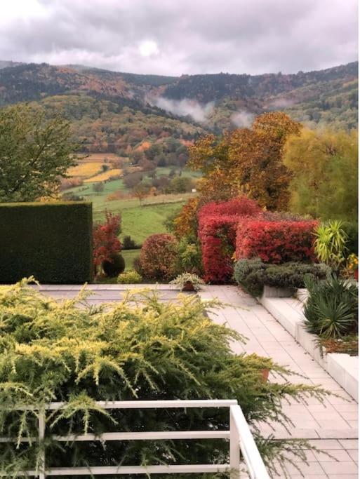 Appartement De Charme Au Coeur De La Nature